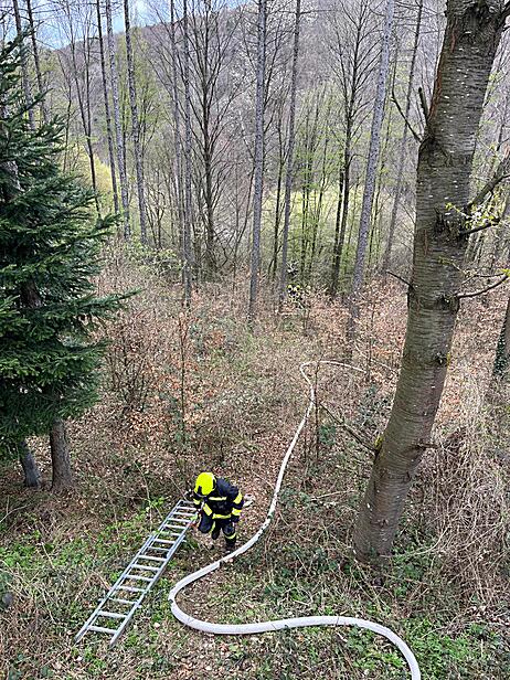 Bild 002 zum Bericht 2692
