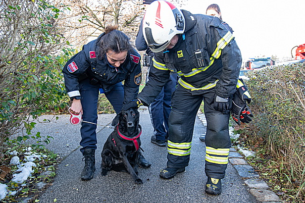 Bild 011 zum Bericht 2783