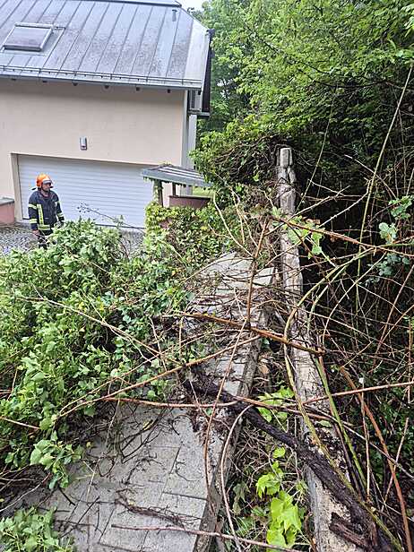 Bild 003 zum Bericht 2861