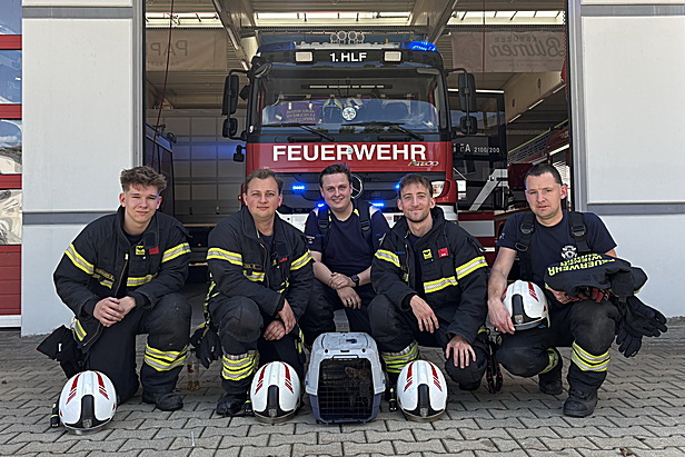 Bild 002 zum Bericht 2863