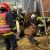 Vorschaubild zu Feuerwehr hilft Pferd beim Aufstehen