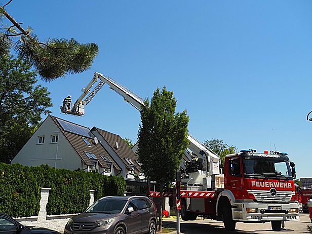 Bild 005 zum Bericht 2866