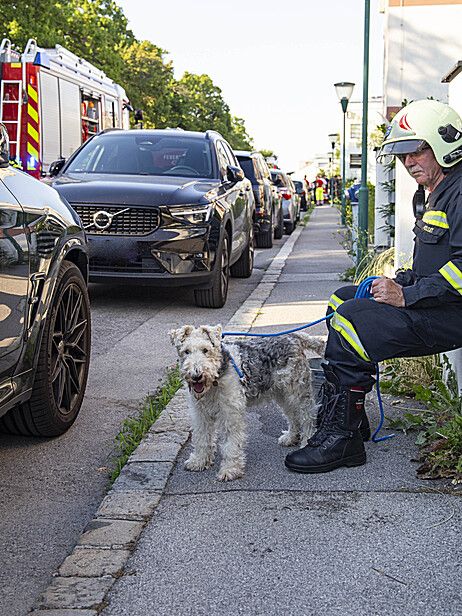 Bild 012 zum Bericht 2867