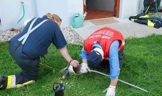 Vorschaubild: Tierrettung in Mödling