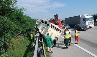 Vorschaubild: Anhänger mit Jungschweinen verunfallt