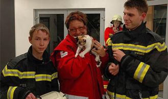 Vorschaubild: Verkehrsuunfall mi vier verletzte Personen und einer Katze