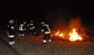 Vorschaubild: Brand auf einem Feld in Achau