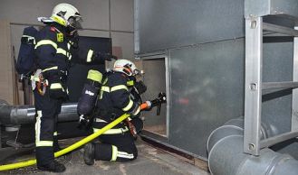 Vorschaubild: Silobrand in Laxenburg