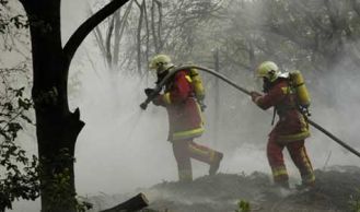 Vorschaubild: Waldbrand im Landesjugendheim Hinterbrühl