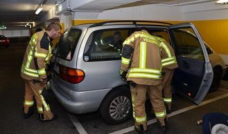 Vorschaubild: Nicht alltägliche Einsätze in Vösendorf und Perchtoldsdorf