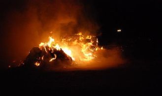 Vorschaubild: Strohtristenbrand in Wiener Neudorf