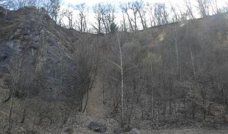 Vorschaubild: Menschenrettung in Kaltenleutgeben