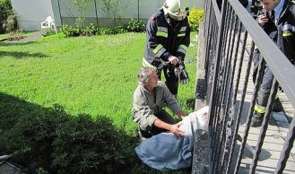 Vorschaubild: Erneute Tierrettung in Kaltenleutgeben