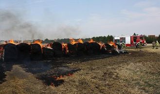 Vorschaubild: Flurbrand in Vösendorf